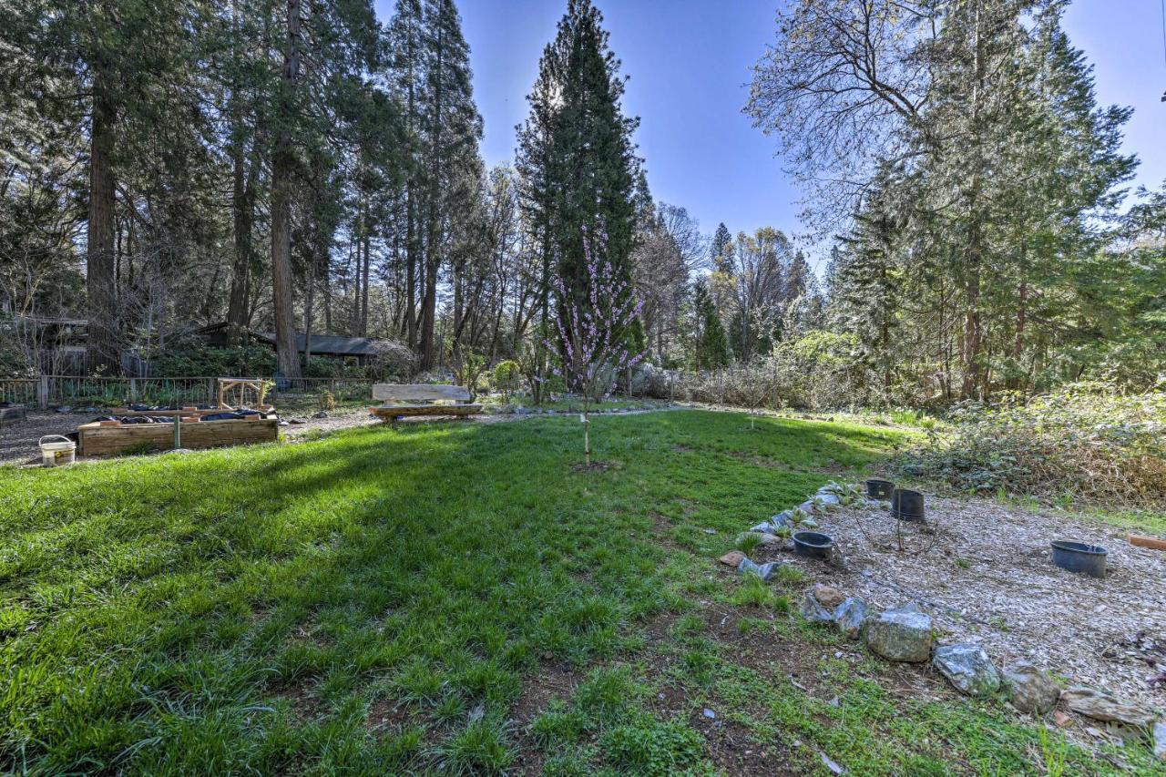 Peaceful Grass Valley Cottage With Bbq Grill And Yard! Exteriér fotografie
